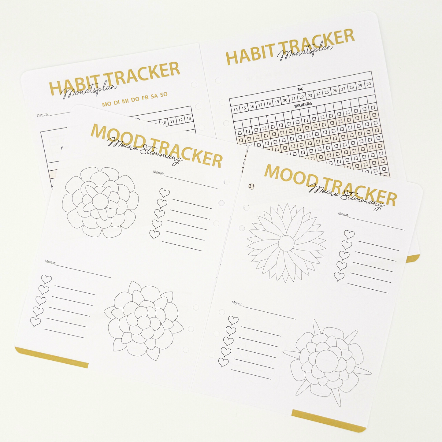 Wandelzeit: Dein Habit Tracker