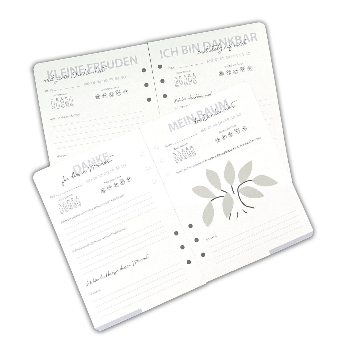 Dankbarkeit: Der Weg zum Glück