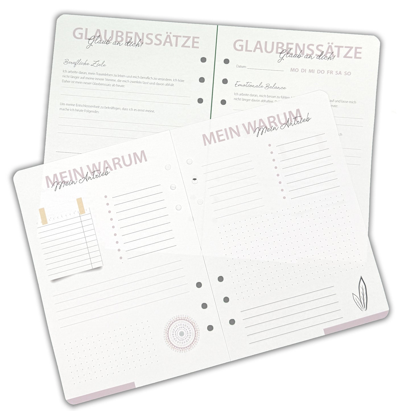 Projekt: ICH